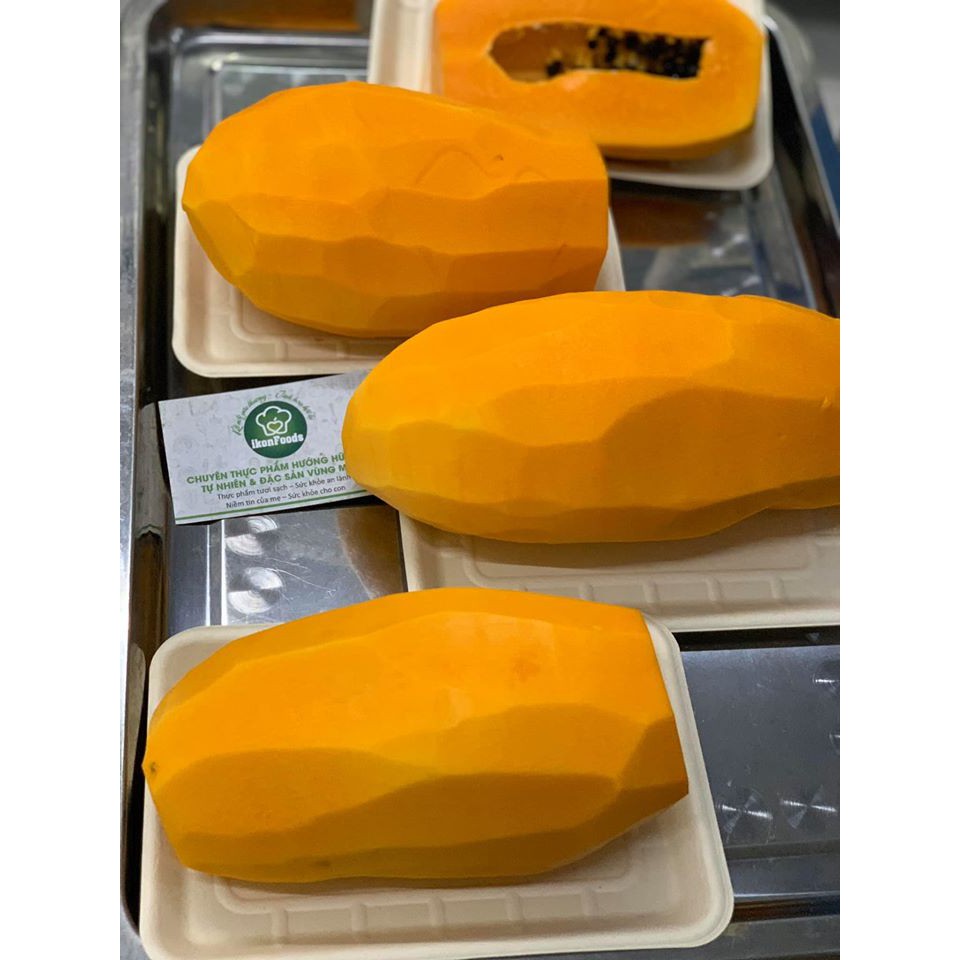 Khay bã mía Gracz phân hủy hoàn toàn