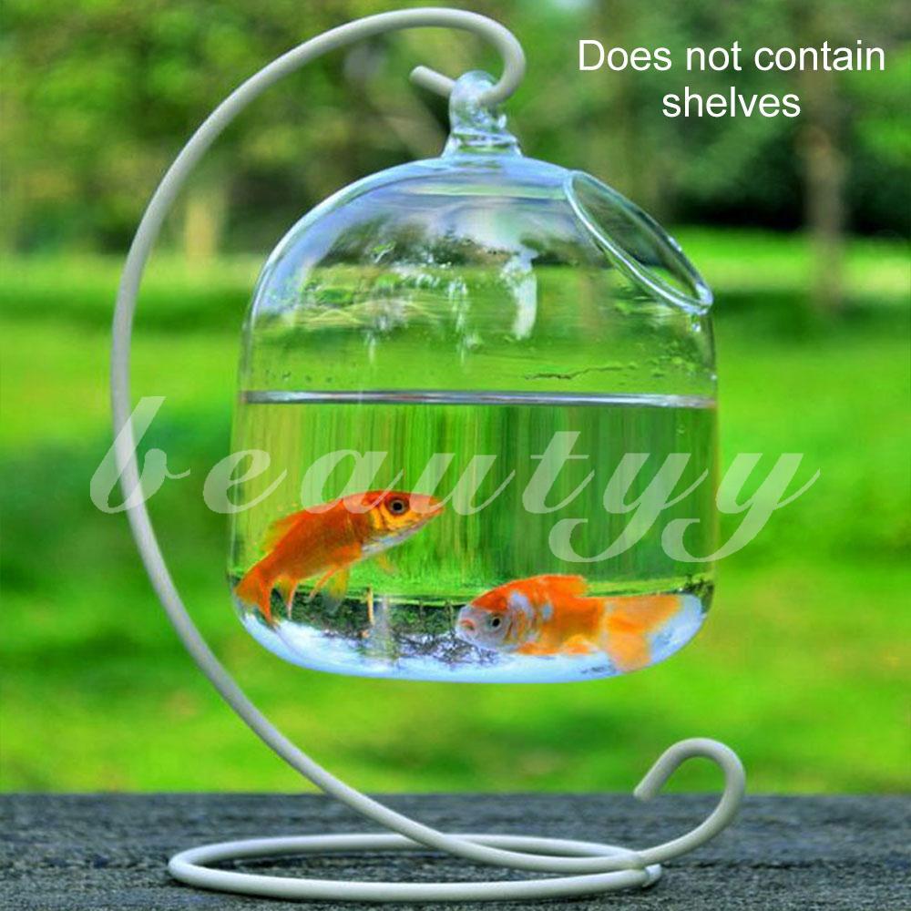 Bình hoa trong suốt handmade trang trí bể cá