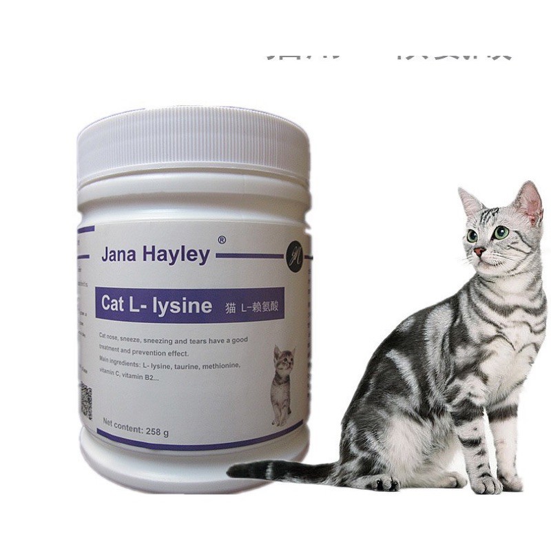 Cat L - lysine hỗ trợ điều trị và phòng ngừa các bệnh liên quan tới hô hấp cho boss một sức khỏe toàn diện