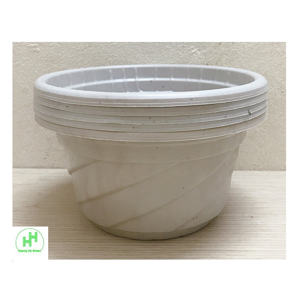 5 Chậu Nhựa Trồng Cây Hoa, Cây Cảnh C180 CN - chậu nhựa Mini C180 CN