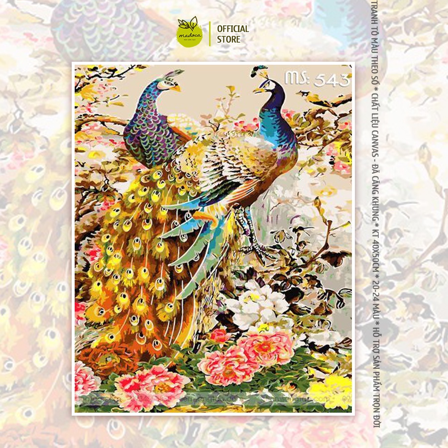 Tranh tô màu số hóa Madoca có khung 40x50cm đôi chim công vạn phúc tài lộc T543