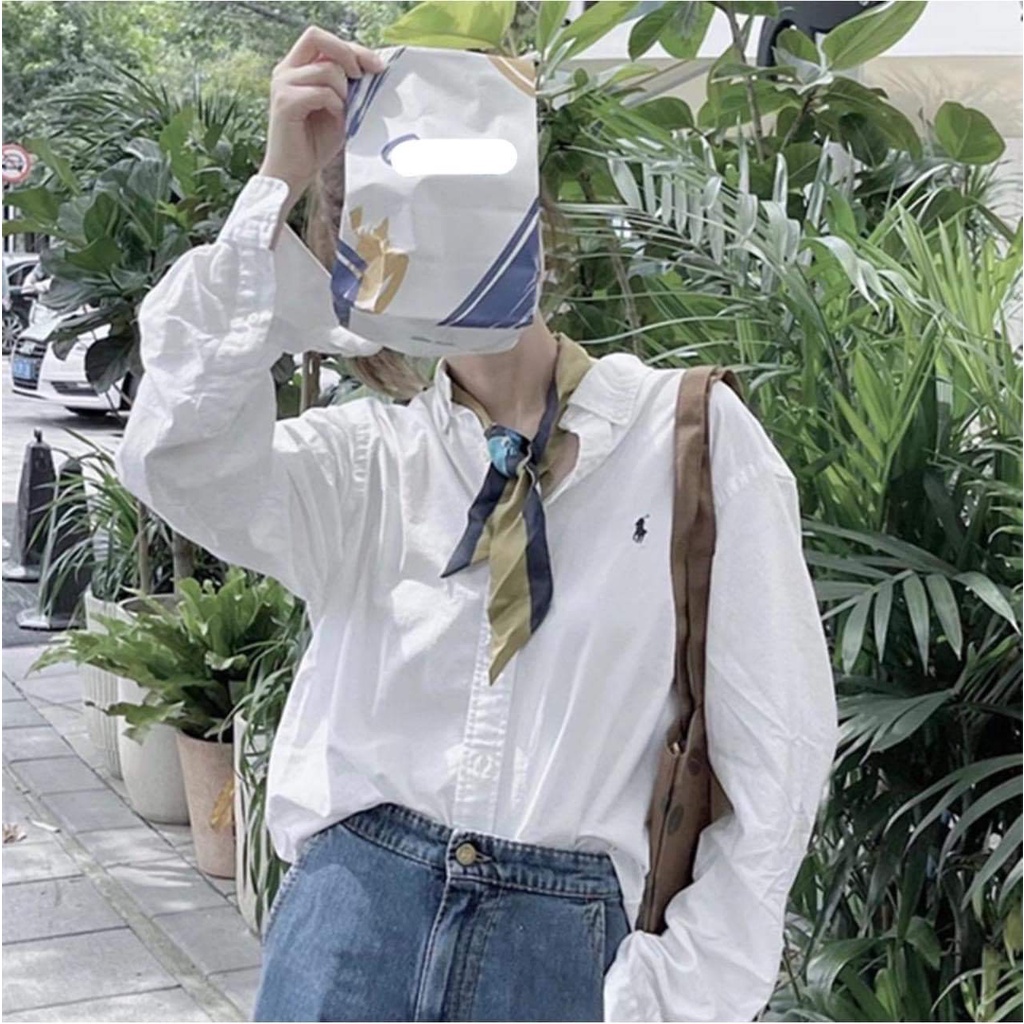 Áo sơ mi tay dài dáng rộng kẻ sọc dọc màu xanh dương nhạt thêu Hình  Ngựa phong cách Hàn Quốc 2022