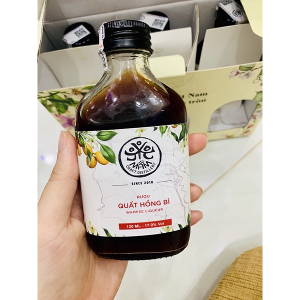 Mầm trái cây lên men 120ML