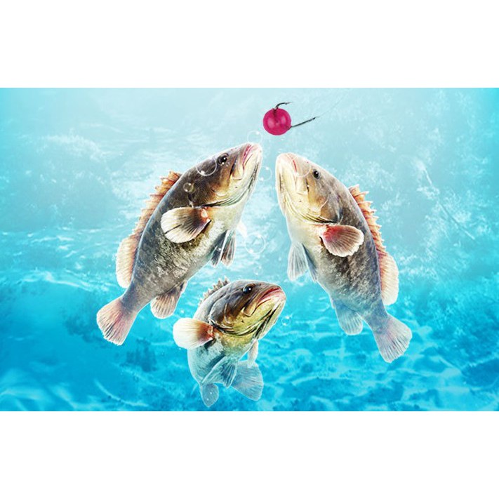 Mồi Câu Cá Dạng Viên Đa Năng 500 VIÊN, Chất liệu: silicon mềm có độ đàn hồi cao