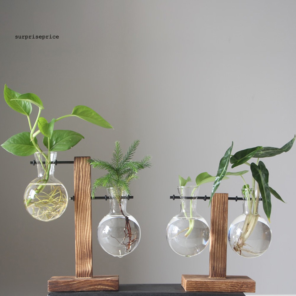 Chậu trồng cây cảnh bằng gỗ độc đáo sáng tạo