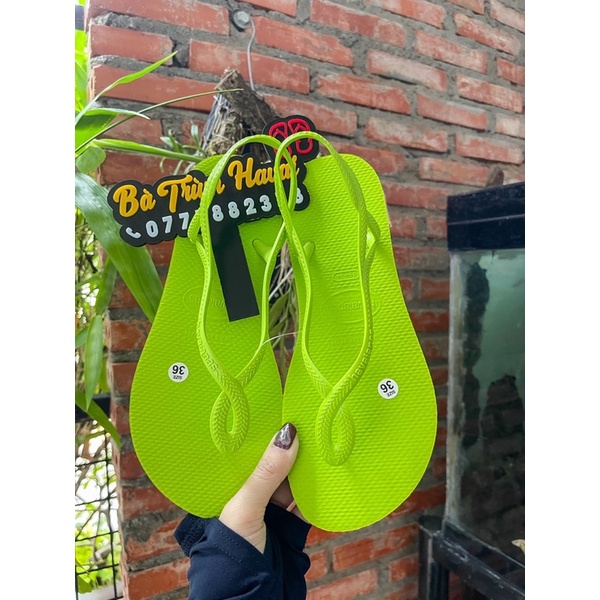 Sandanl đi biển Havaina*