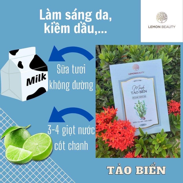 [HÀNG CHÍNH HÃNG MUA 1 TẶNG 4 QUÀ GIÁ LẺ BẰNG SỈ ] Mặt nạ tảo biển mờ thâm + sáng da