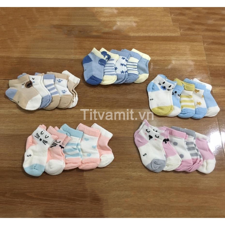 Set 5 đôi tất mèo cho bé, tất mèo cổ ngắn cho bé trai, bé gái, set tất cho bé sơ sinh