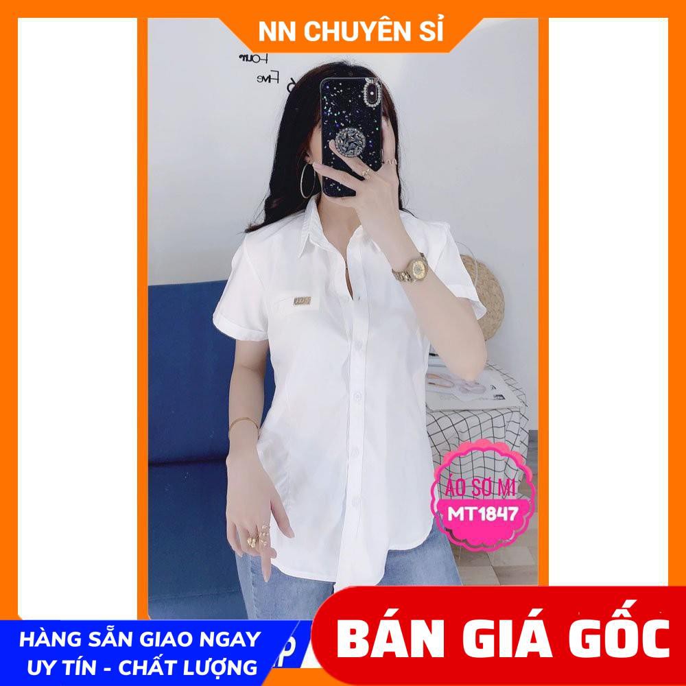 ÁO SƠ MI TAY NGẮN DÁNG CÔNG SỞ MT1847 ⚡ẢNH THẬT⚡HÀNG ĐẸP⚡ SƠ MI NỮ