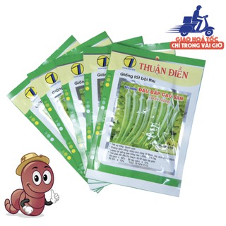 [HẠT GIỐNG QUẢ ĐẬU BẮP TRÁI TRẮNG] chất lượng hạt giống nảy mầm cao, ngon, giòn