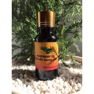 Tinh dầu hương thảo - Rosemary oil