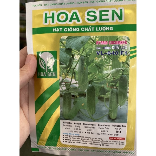 HẠT GIỐNG DƯA LEO BÓNG HOA SEN F1 639,640,879 gói 10gram