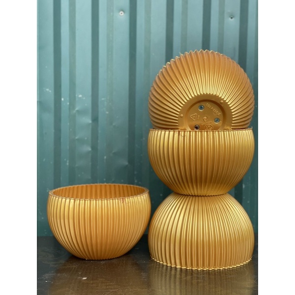 Chậu Gân sọc để bàn màu Vàng Đồng derco siêu siêu đẹp ạ - Ảnh thật