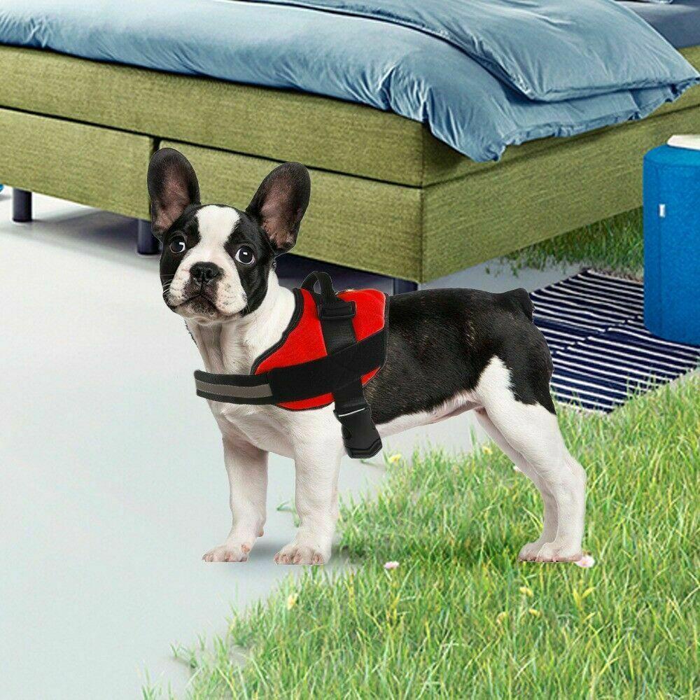 Áo Vest Không Tay Thoáng Khí An Toàn Dành Cho Thú Cưng