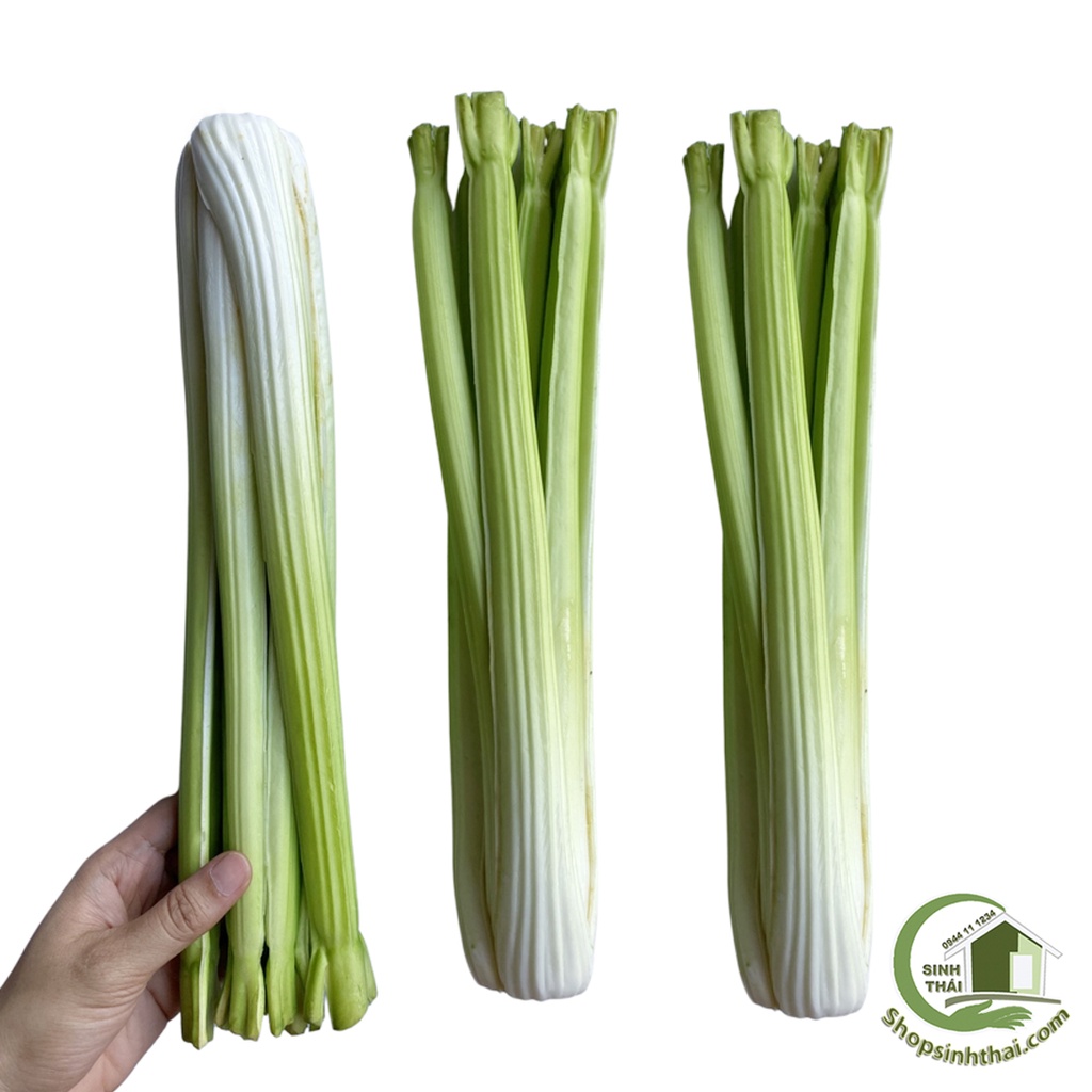 Bụi rau cần tây giả màu xanh - Rau củ quả giả cao cấp