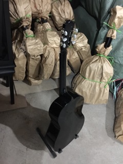 Guitar Classic cho người mới tập