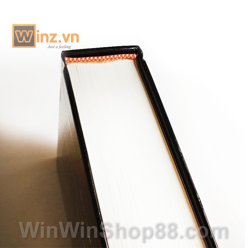 The BOOK of ANSWERS  V.2 - Do_luu_niem