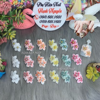 Hoa Bột: set 2 bông Hoa Mai đôi trang trí móng