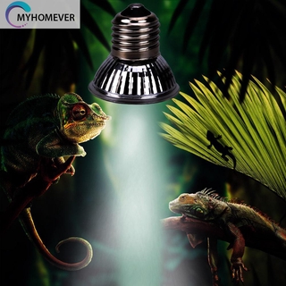 Đèn Sưởi Ấm Cho Bò Sát Uva + Uvb 3.0