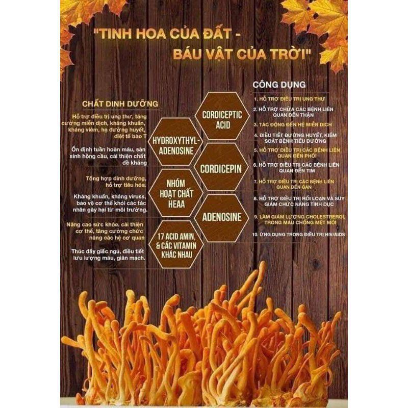 ĐÔNG TRÙNG HẠ THẢO KHÔ VIP 1,5KG
