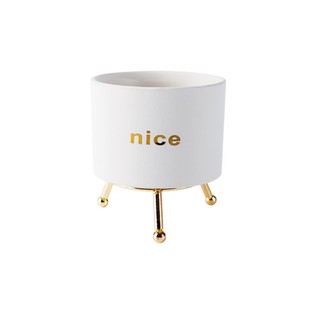 Chậu Cây Dễ Thương Trồng Sen Đá, Trang Trí Bàn Làm Việc / Sân Vườn / Nhà Cửa / Văn Phòng
