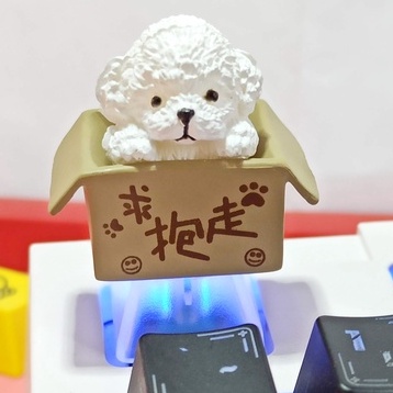 Nút Bàn Phím Cơ Bằng ABS Có Đèn Nền Hình cherry mx Dễ Thương