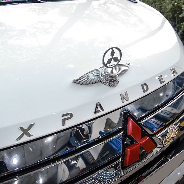 CHỮ XPANDER LOẠI 1