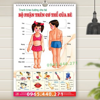 Bộ tranh treo tường cho bé – 6 tờ với 14 chủ đề – Hàng loại 1