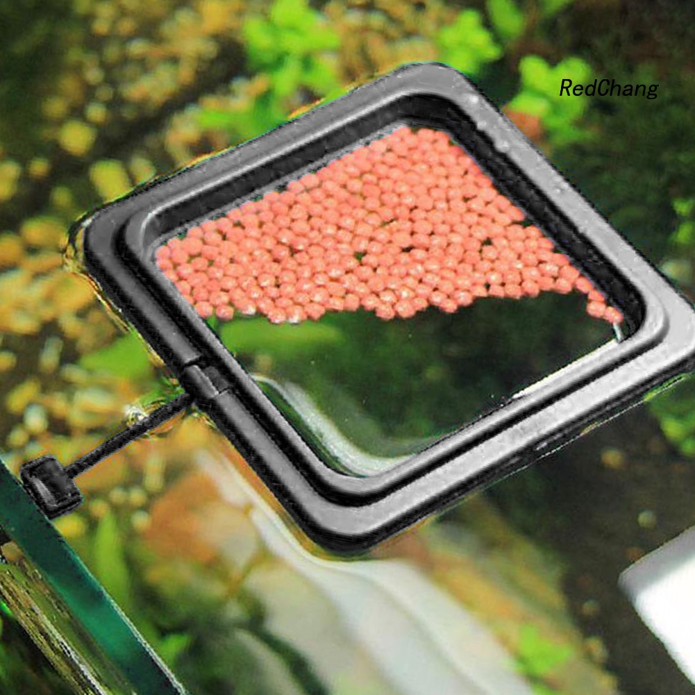 Fish Tank Floating Food Feeder Buoyancy Ring Suction Cup Pool Feeding Tool