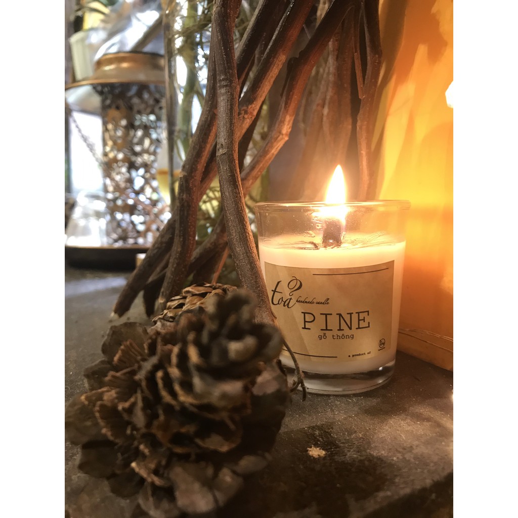 Nến đơn hương Gỗ Thông | Tỏa Handmade Candle