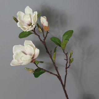 Hoa lụa mộc lan
