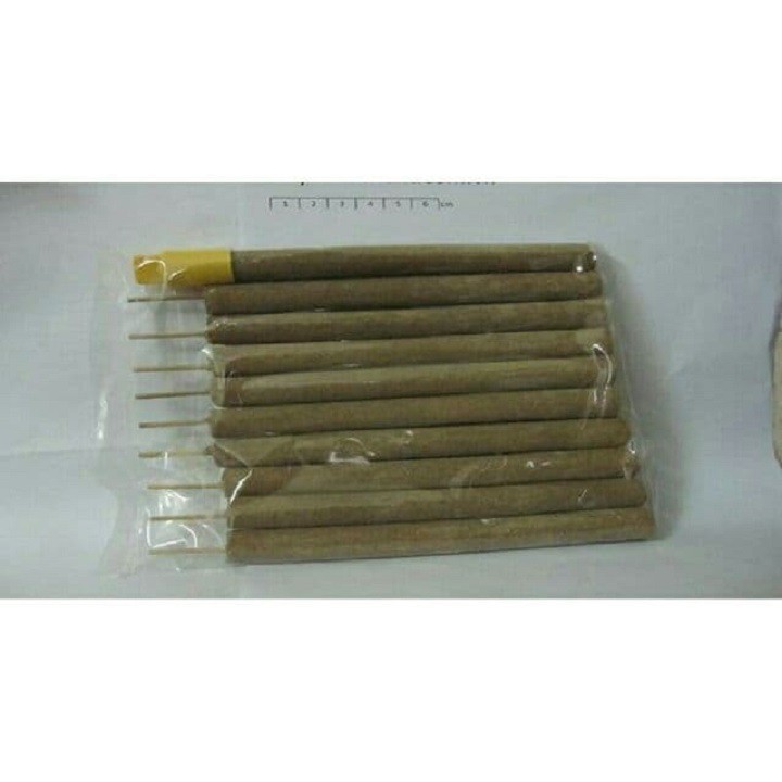ĐIẾU NGẢI CỨU TUỆ HẢI ĐƯỜNG CỠ TRUNG 10 CÂY