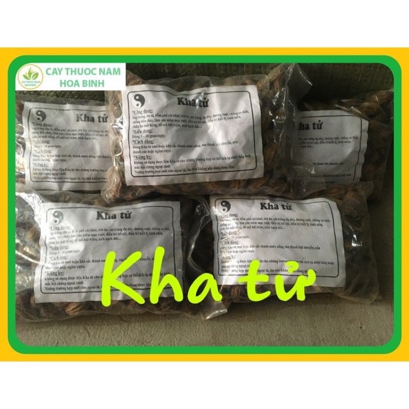 Quả kha tử 1 kg GT1