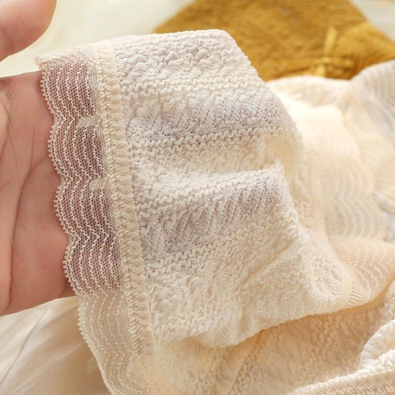 ❤️ Quần Lót Cạp Ren Dệt Kim Co Giãn Thoải Mái, Quần Chíp Kháng Khuẩn 5578 ❤️