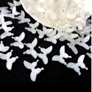 01 phiến hồ điệp resin