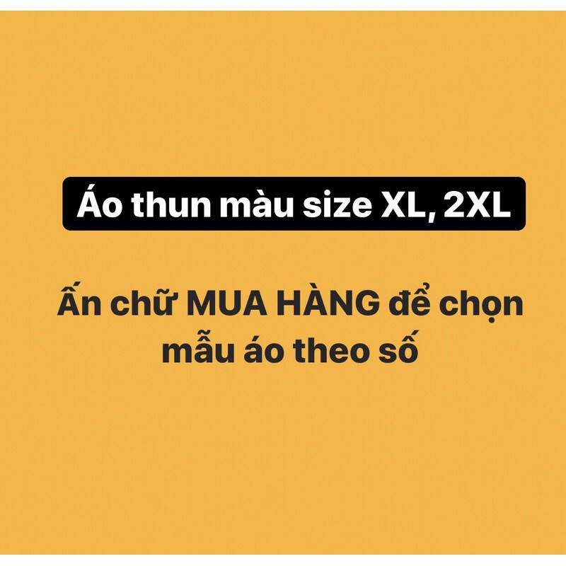 Áo thun màu
