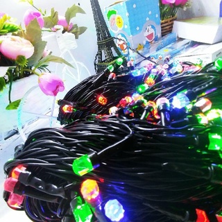 Dây đèn Led nháy kim cương pha lê 40M, 10m, 20m trang trí tết, trang trí ngoài trời, trang trí noel, dây cáp đen rất bền