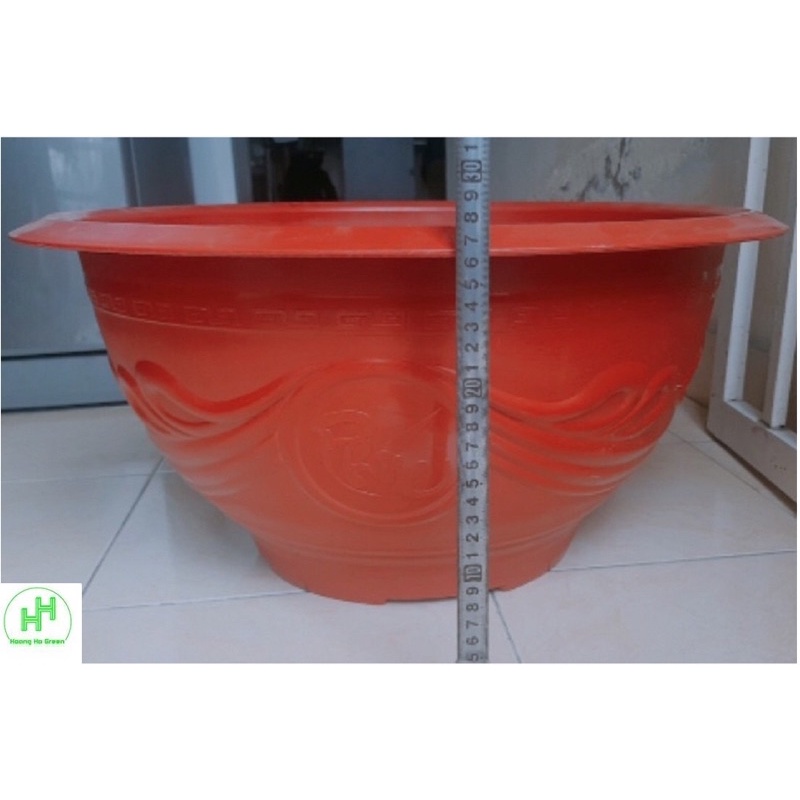 Set 02 Chậu nhựa trồng cây có lỗ/bít lỗ T58 kt 56x28cm