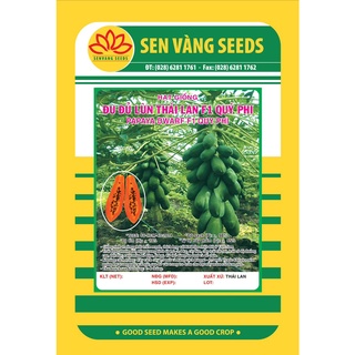 Hạt giống đu đủ lùn thái lan f1 quý phi | sen vàng | vtnn cần thơ