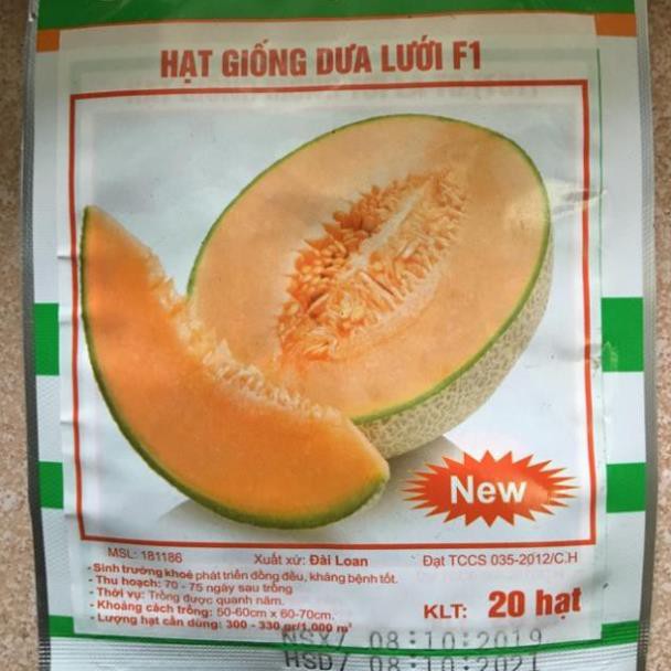 HẠT GIỐNG DƯA LƯỚI F1