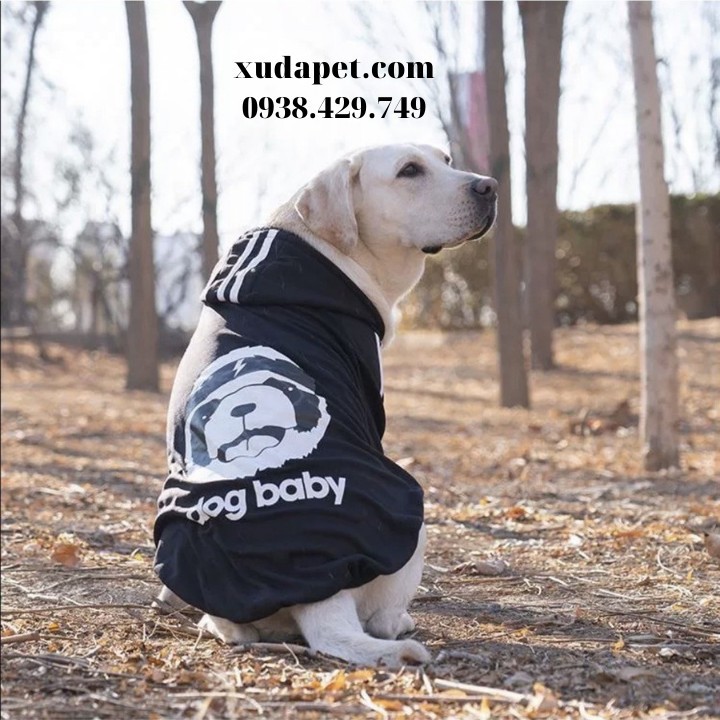 Áo Hoodie Cho Chó Lớn Dog Baby chất liệu thun co giãn cao cấp - Xudapet - SP000611