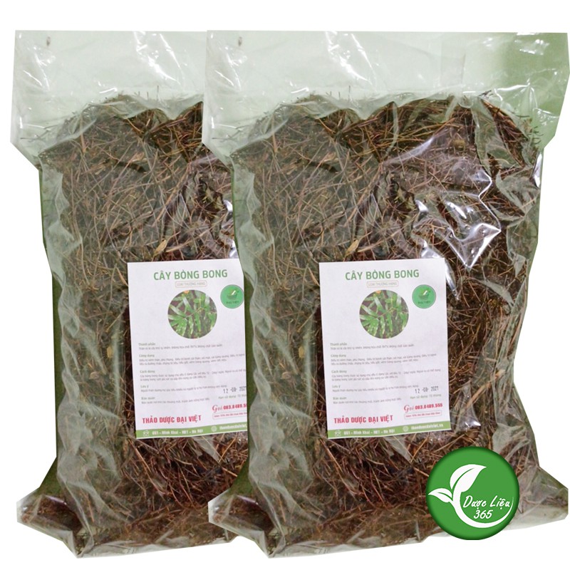 Cây Bòng Bong (Hải kim sa) 1KG - Tốt cho người phù thận - viêm thận