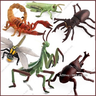 Mô Hình Côn Trùng Bọ Ngựa Bọ Hung Bọ Cạp Chuồn Chuồn Ong Bắp Cày - 7709.3