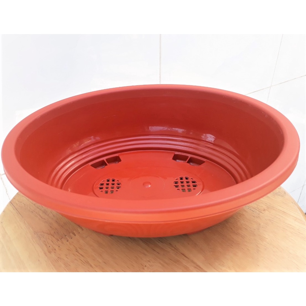 CHẬU NHỰA HÌNH OVAL TRỒNG BONSAI, CÂY HOA, NHỰA BỀN, MÀU ĐẸP