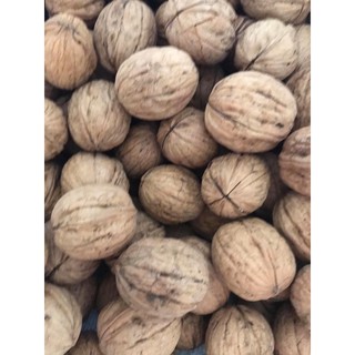 Hạt Óc Chó còn vỏ - gói 500gr