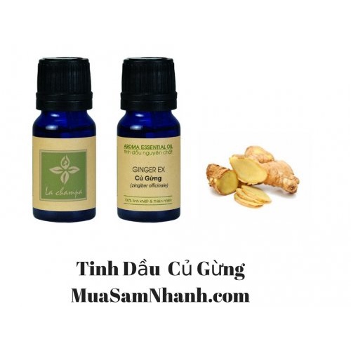 Tinh dầu Gừng champa ,Tinh Dầu La champa Ginger Oil.