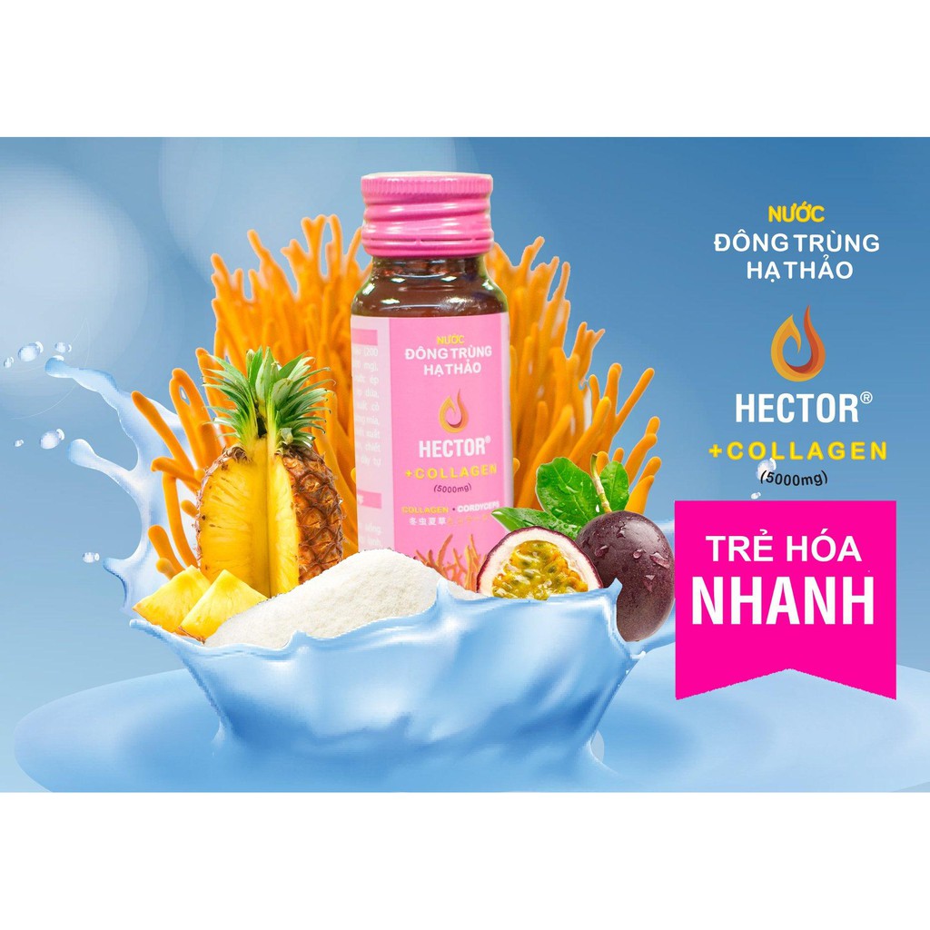 Nước Uống Đông Trùng Hạ Thảo Hector Collagen 5000mg -  Combo 5 Chai