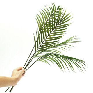 Lá dừa 60cm