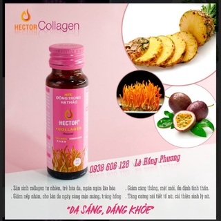 Hector Collagen ⚡FREESHIP⚡Đông trùng hạ thảo kết hợp collagen đầu tiên, hộp 10 chai 50ml