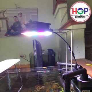 Đèn chế WRGB nano cho bể thuỷ sinh- Led luxeon/Epistar